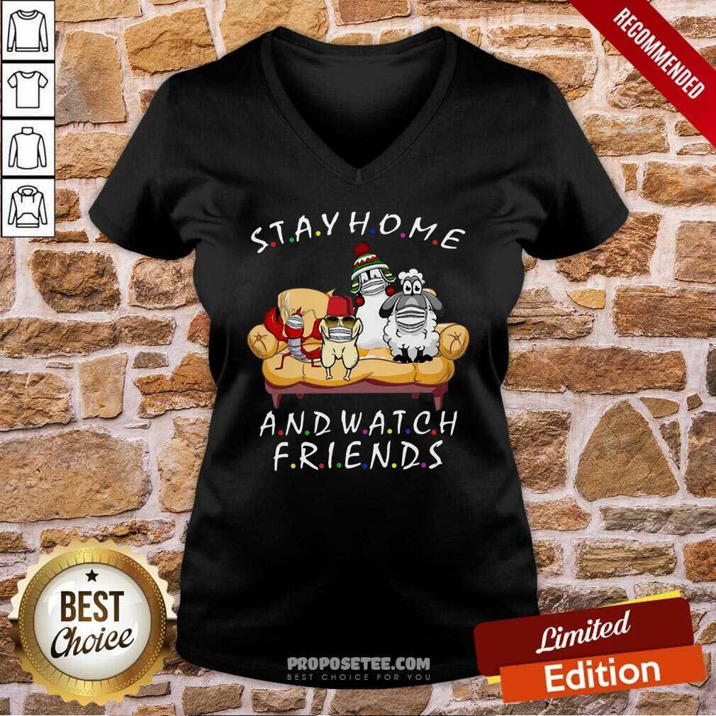 Funny Pets Stay Home And Watch Friends Cartoon COVID-19 Shirt - Image 2