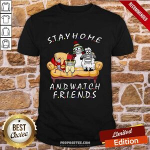 Funny Pets Stay Home And Watch Friends Cartoon COVID-19 Shirt