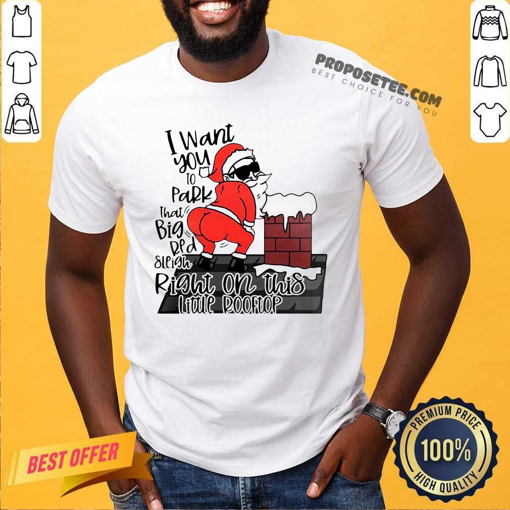 Funny Santa Claus I Want You To Park That Big Red And Light Right On This Rooftop Ugly Christmas Shirt