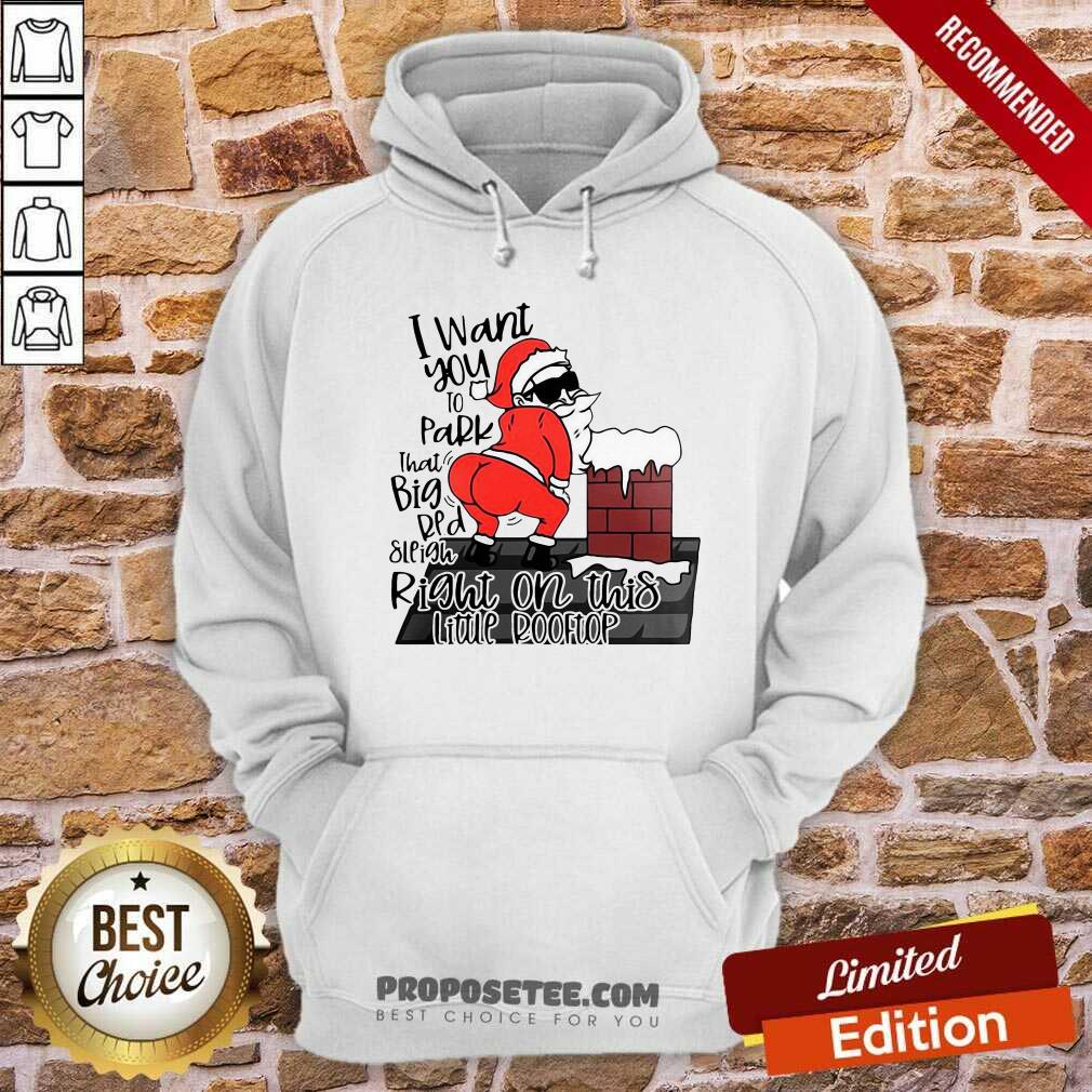 Funny Santa Claus I Want You To Park That Big Red And Light Right On This Rooftop Ugly Christmas Shirt - Image 2
