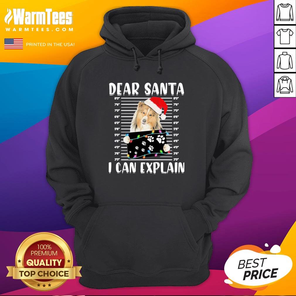 Funny Shetland Sheepdog Dear Santa I Can Explain Christmas Sweater Shirt - Image 4