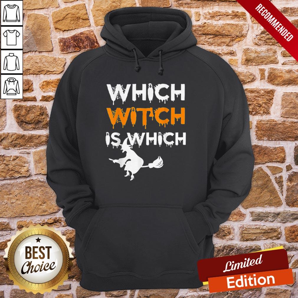 Funny Which Witch Is Which Funny Halloween English Teacher Shirt - Image 2