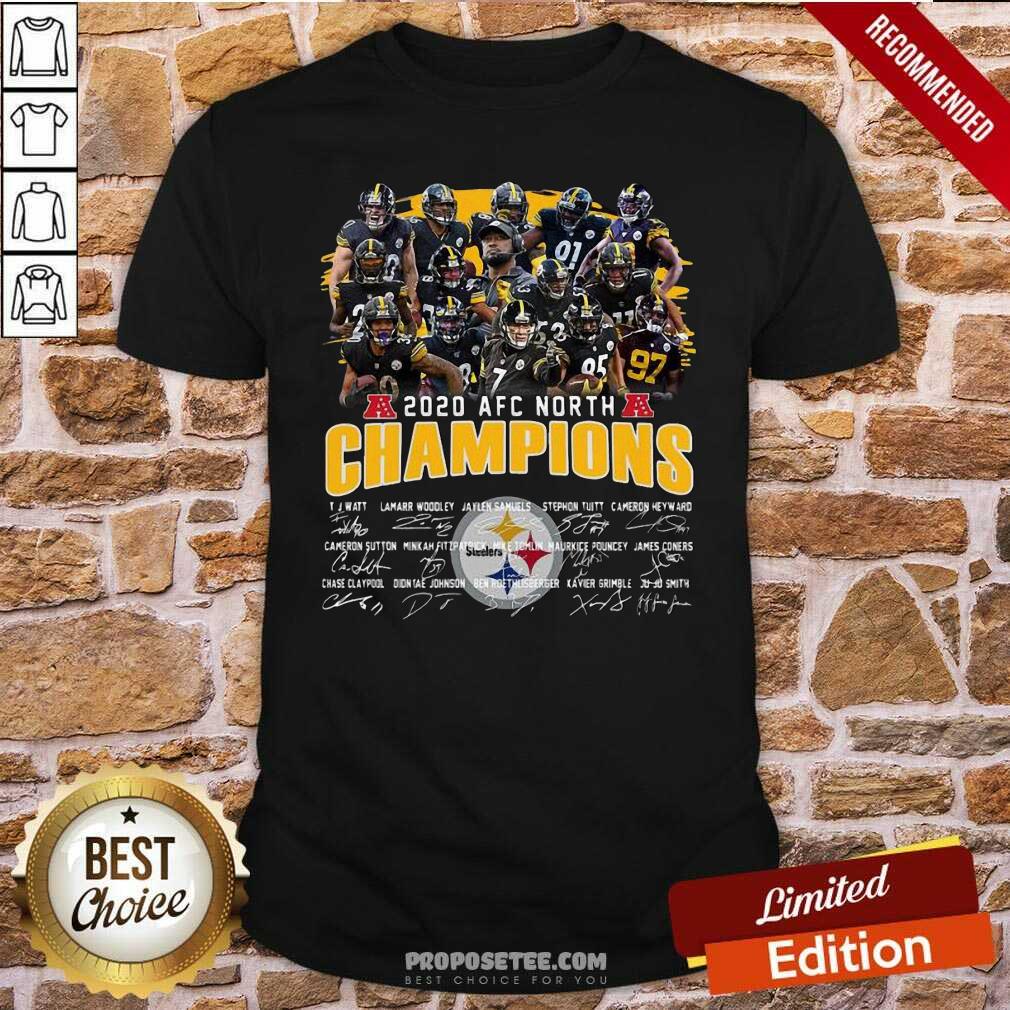 Good Pittsburgh Steelers 2020 Afc North Champions Signatures Shirt