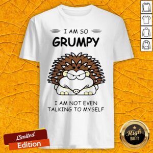 Hedgehog I Am So Grumpy I Am Not Even Talking To Myself Shirt