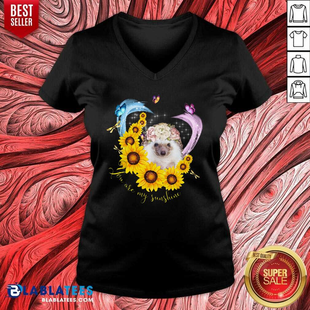 Hedgehog You Are My Sunshine Shirt - Image 2