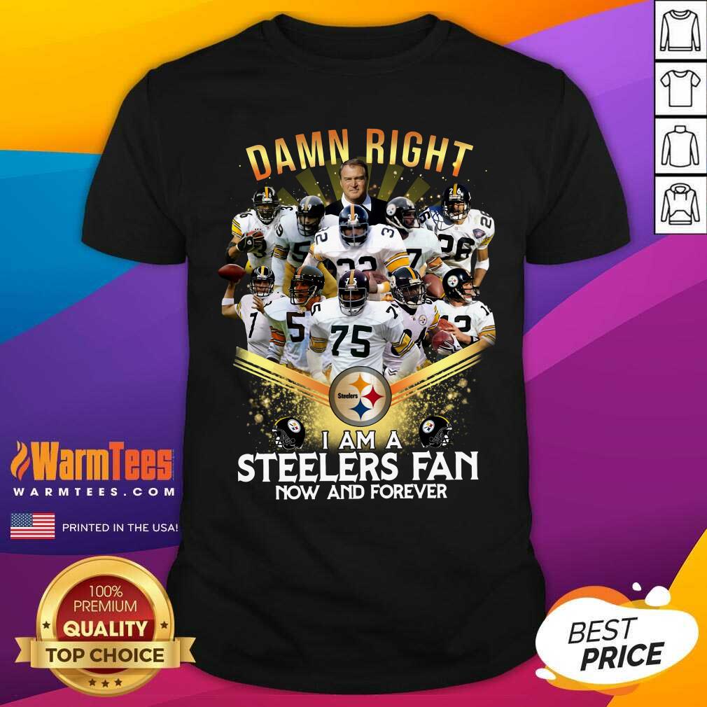 Hot 2020 Damn Right I Am A Steelers Fan Now And Forever Shirt