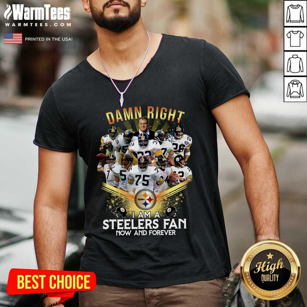 Hot 2020 Damn Right I Am A Steelers Fan Now And Forever Shirt - Image 5