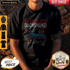 Hot 5 For Rules Dachshund Owners It Is My Walk I Get Up When Want Shirt