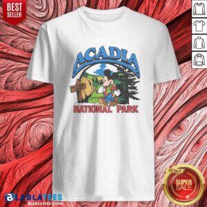 Hot Mickey Mouse Acadia National Park Shirt