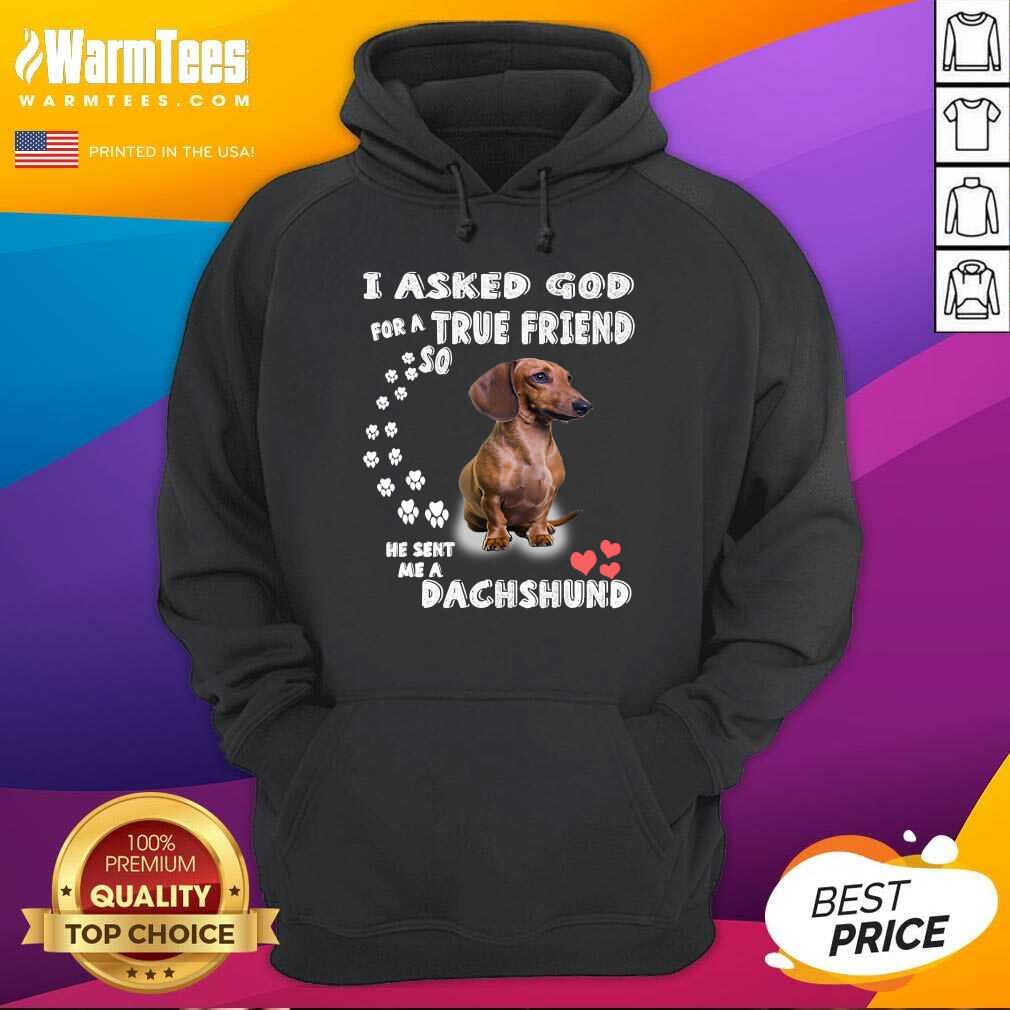 I Asked God True Friend Cute Dachshund Shirt - Image 4