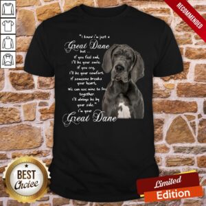 I Know I’m Just A Great Dane But If You Feel Sad I’ll Be Your Smile If You Cry Shirt