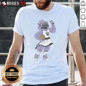 Nice Golden State Valkyries WNBA Violet The Raven Mascot Pose T-Shirt