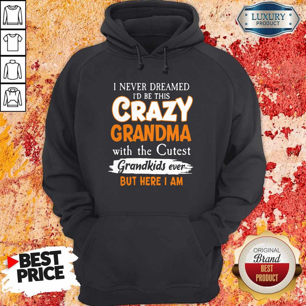 I Never Dreamed I’d Be This Crazy Grandma With The Cutest Grandkids Ever Shirt - Image 5