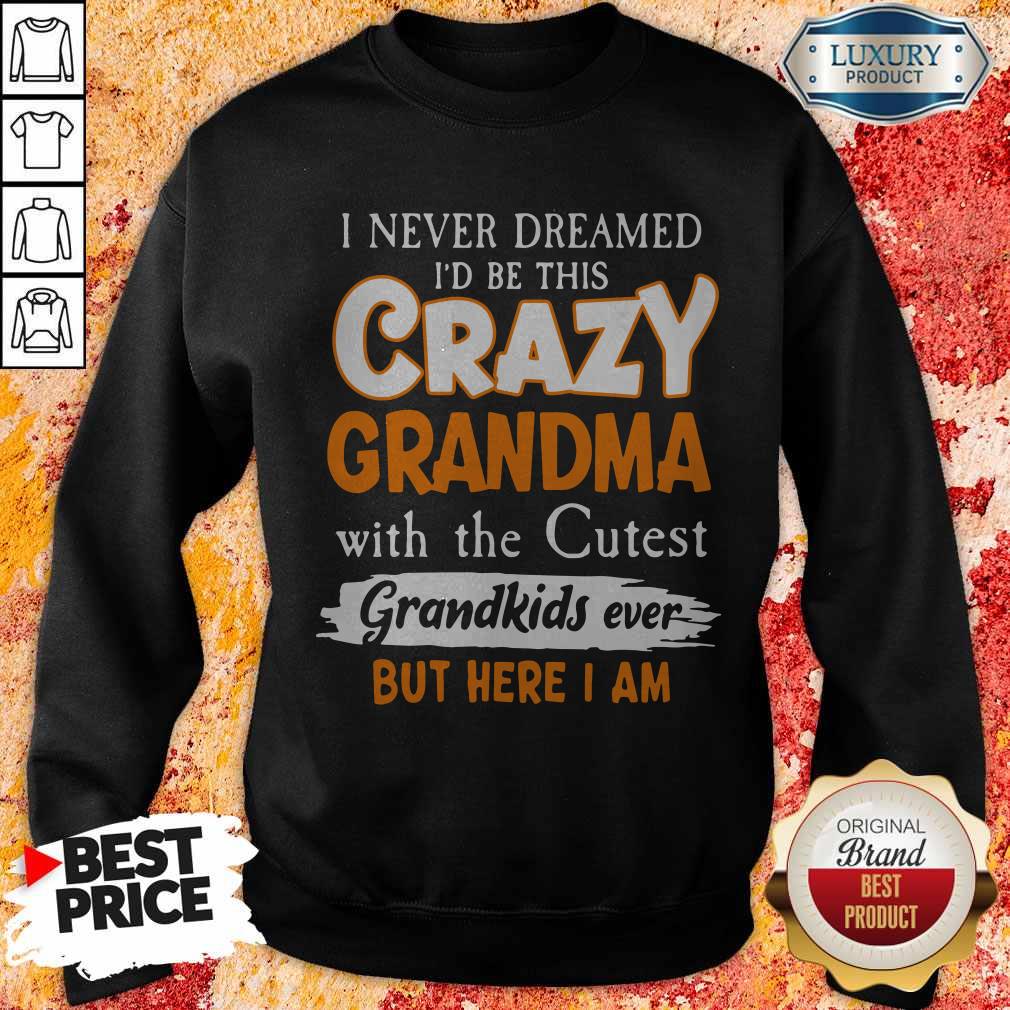 I Never Dreamed I’d Be This Crazy Grandma With The Cutest Grandkids Ever Shirt - Image 4