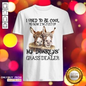 I Used To Be Cool My Donkeys Grass Dealer Shirt