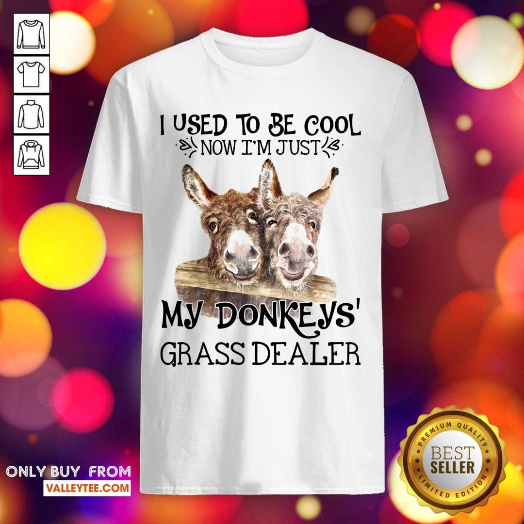 I Used To Be Cool My Donkeys Grass Dealer Shirt