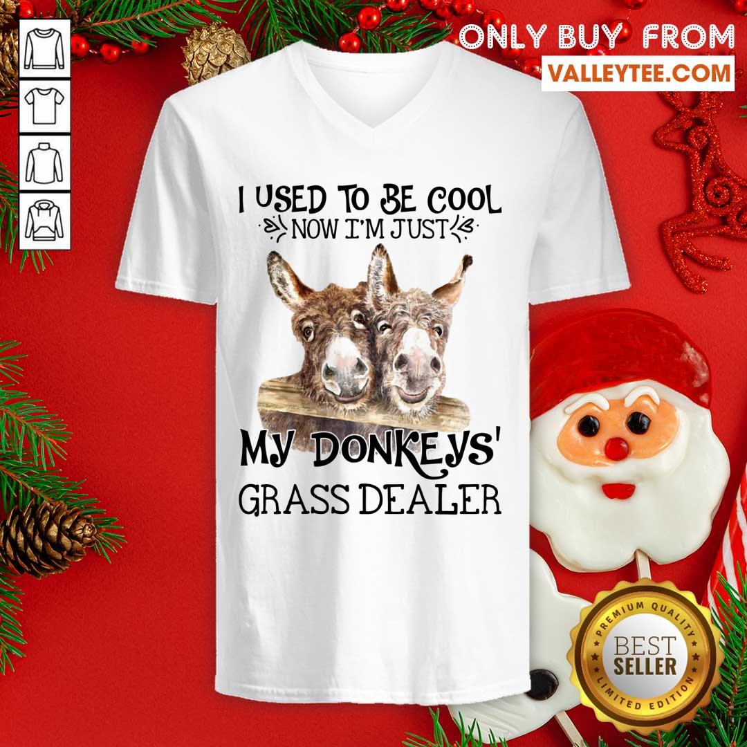 I Used To Be Cool My Donkeys Grass Dealer Shirt - Image 3