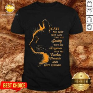 Good Cats Are Not Just Cats They Are Sanity They Are Happiness They Are Teachers Therapists And Best Friends Shirt