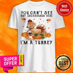 Top You Can'T See Any Dachshunds Here I'M A Turkey Pumpkin Shirt