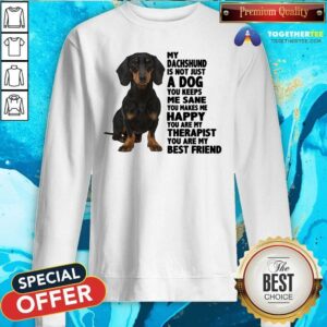 Alternative view of Lovely My Dachshund You Are My Therapist My Best Friends Shirt
