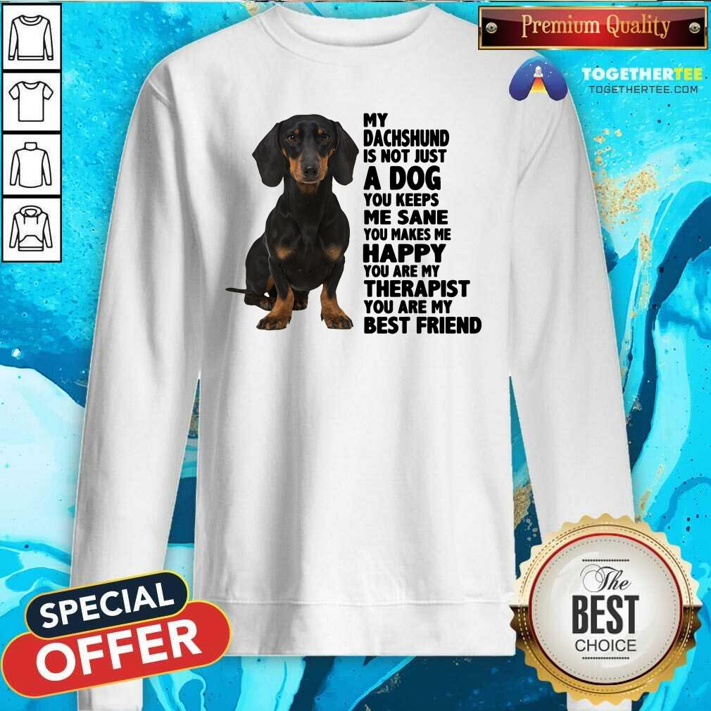 Lovely My Dachshund You Are My Therapist My Best Friends Shirt - Image 2