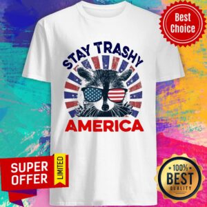Nice Sloth Stay Trashy America Vintage Shirt