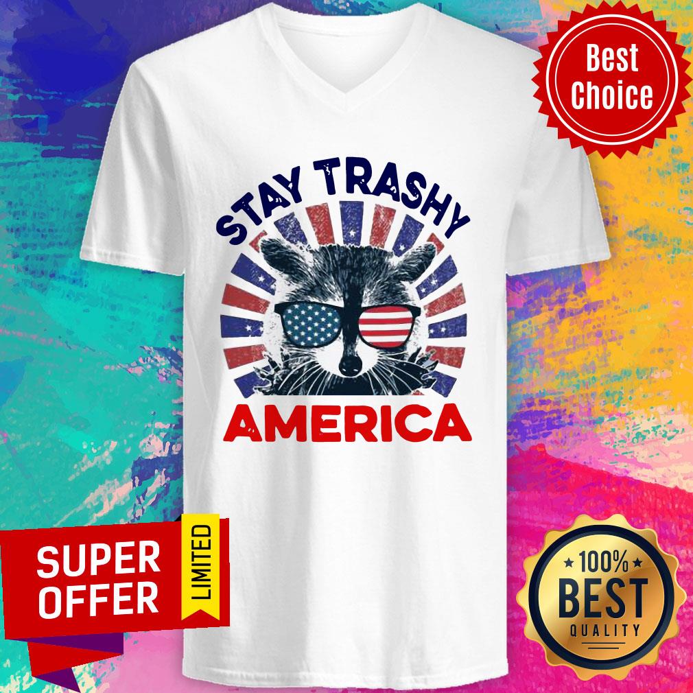 Nice Sloth Stay Trashy America Vintage Shirt - Image 3