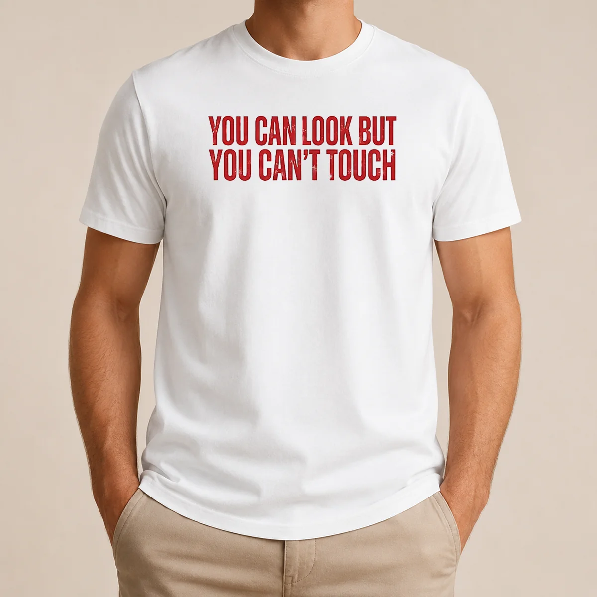 Hot Pretty You Can Look But You Can't Touch Slogan Shirt