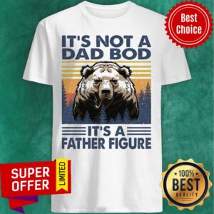 Bear It's Not A Dad Bod It's Father Figure Vintage Shirt