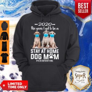 Alternative view of Hot 2020 The Year I Got To Be A Stay At Home Labrador Dog Mom Quarantine Shirt