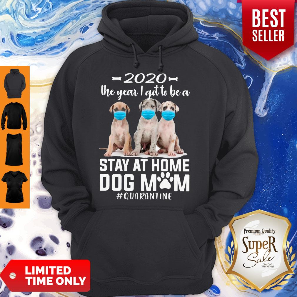 Hot 2020 The Year I Got To Be A Stay At Home Labrador Dog Mom Quarantine Shirt - Image 2