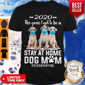 Hot 2020 The Year I Got To Be A Stay At Home Labrador Dog Mom Quarantine Shirt