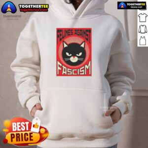 Alternative view of Top Lorenzo The Cat Felines Against Fascism T-Shirt