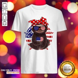 Sloth American Flag Shirt