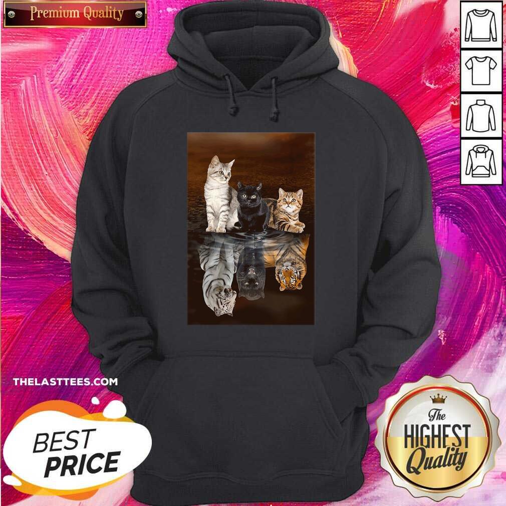 Nice Three Cat Tiger Reflections 5d Diamond Diy Shirt - Image 5