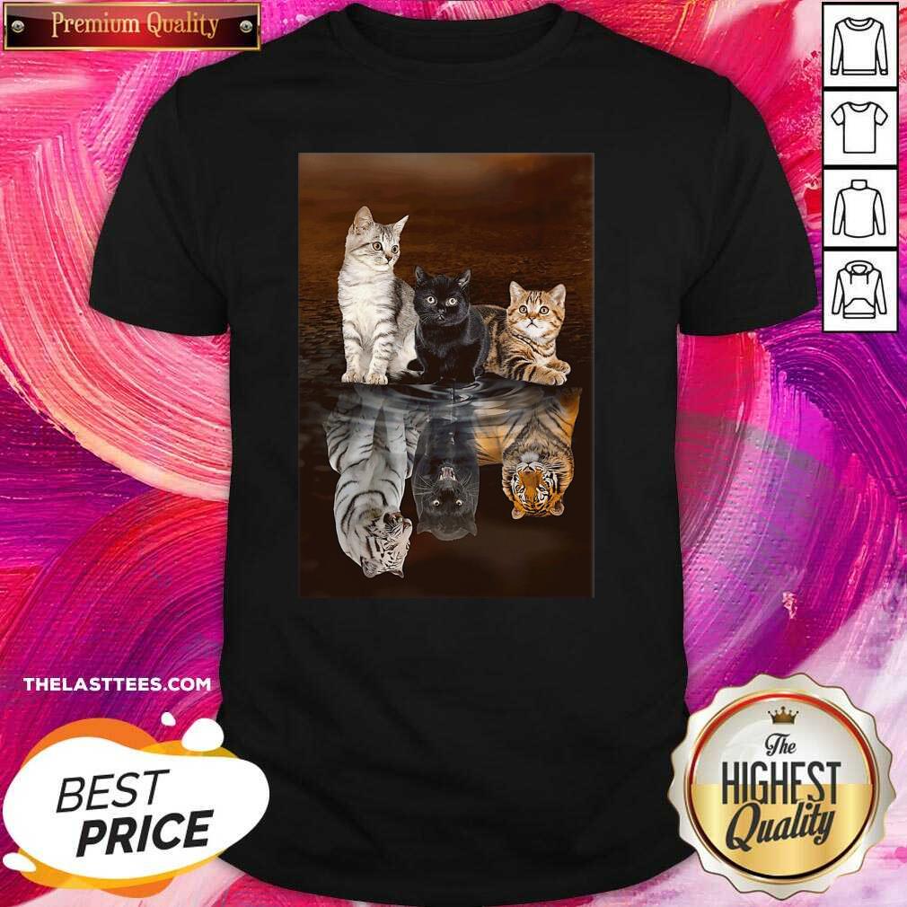 Nice Three Cat Tiger Reflections 5d Diamond Diy Shirt