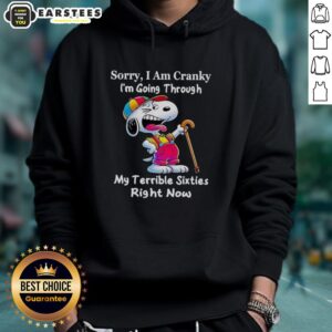 Alternative view of Awesome Snoopy Sorry I Am Cranky I'm Going Through My Terrible Sixties Right Now T-Shirt