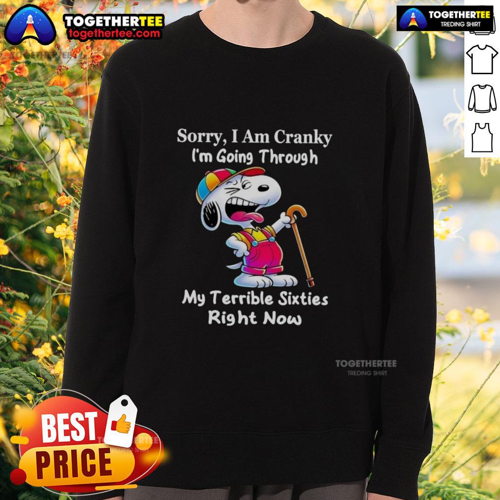 Good Snoopy Sorry I Am Cranky I'm Going Through My Terrible Sixties Right Now T-Shirt - Image 5