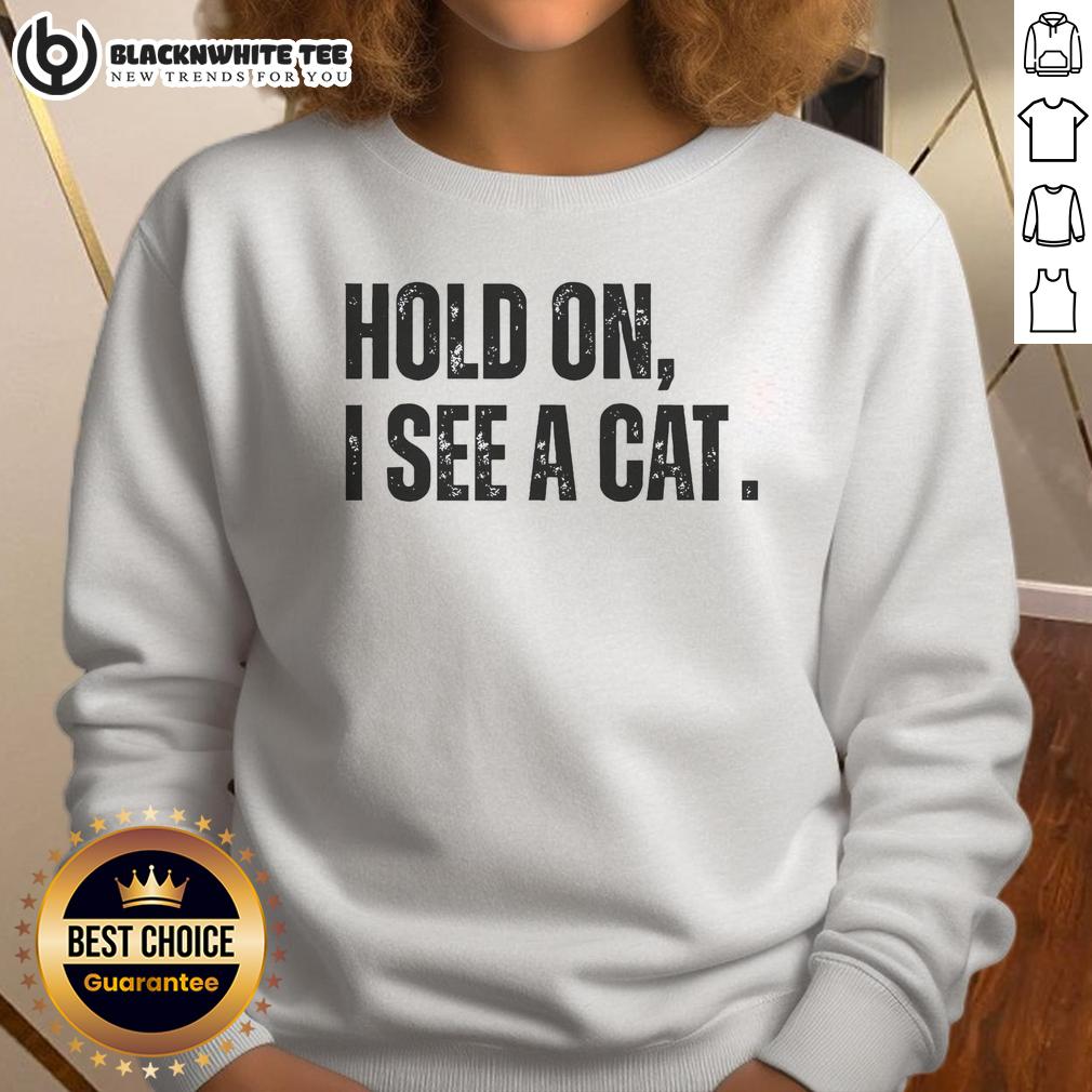 Nice Hold On I See A Cat Lover Pet Parent Humor T-Shirt - Image 5