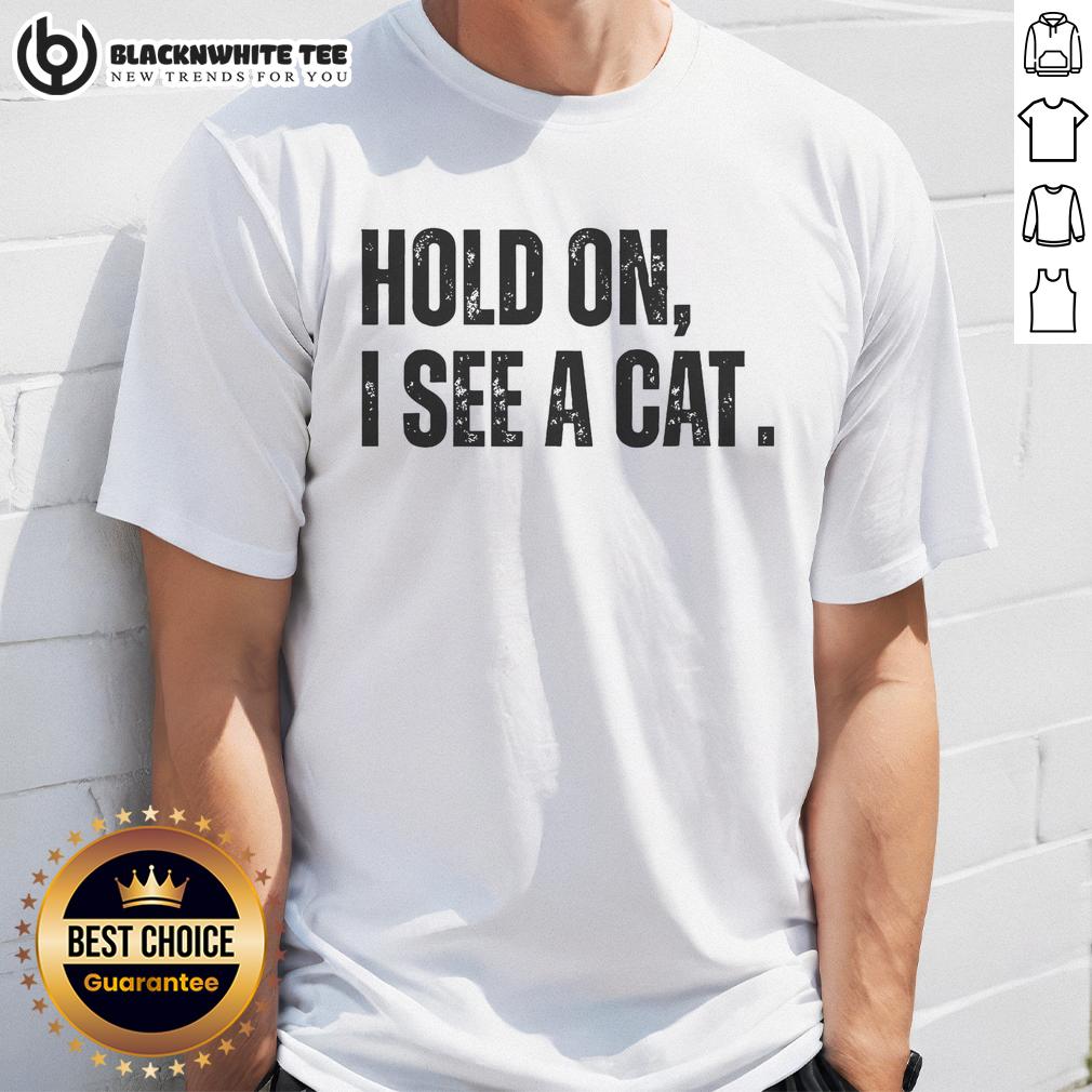 Nice Hold On I See A Cat Lover Pet Parent Humor T-Shirt