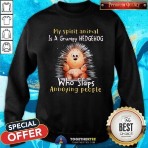 Alternative view of Lovely My Spirit Animal Is A Grumpy Hedgehog Who Slaps Annoying People Shirt