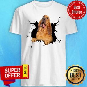 Dog I Love Bloodhound Shirt