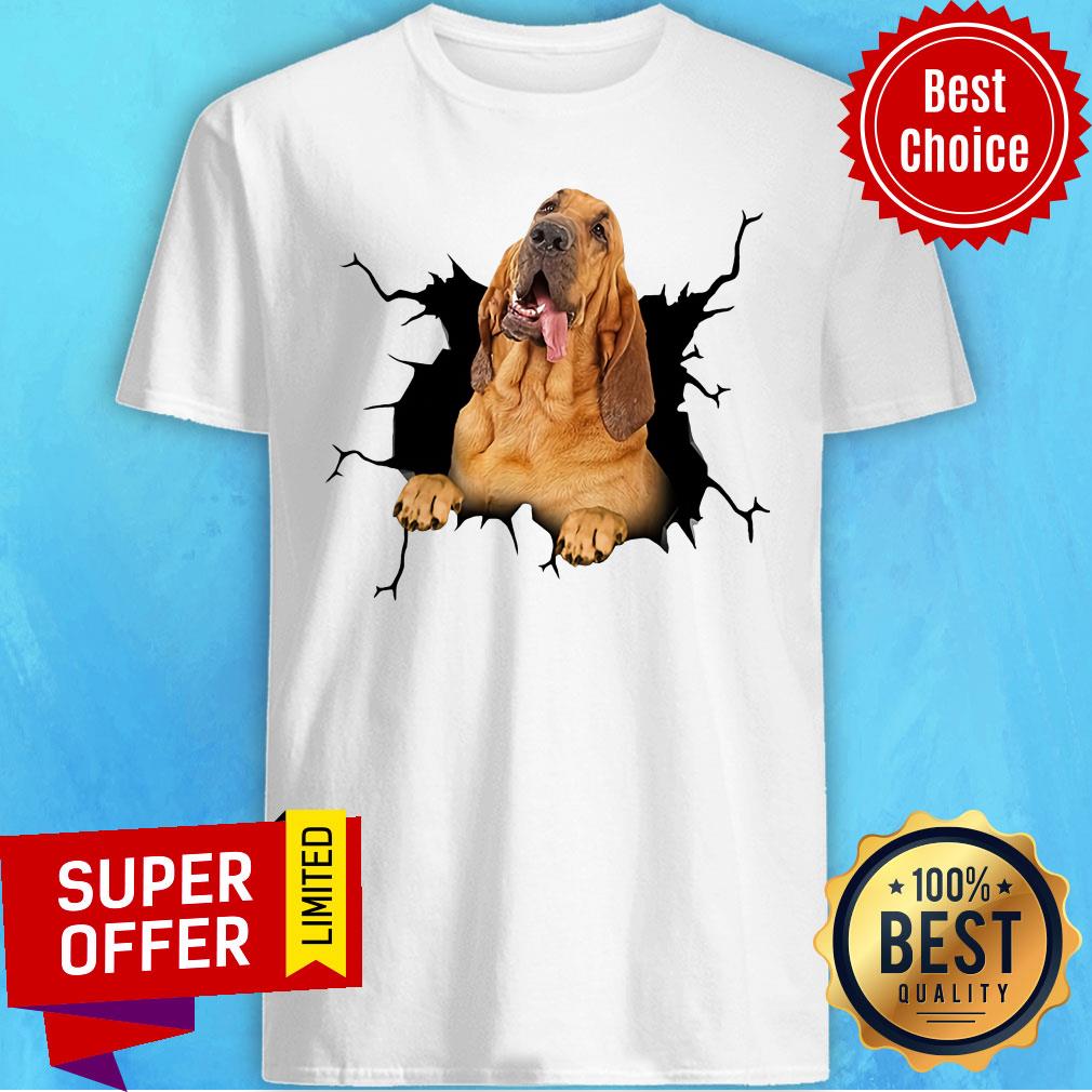 Dog I Love Bloodhound Shirt