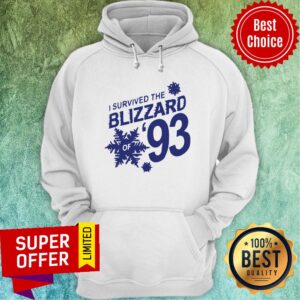 Alternative view of Premium I Survived The Blizzard Of 93 Shirt
