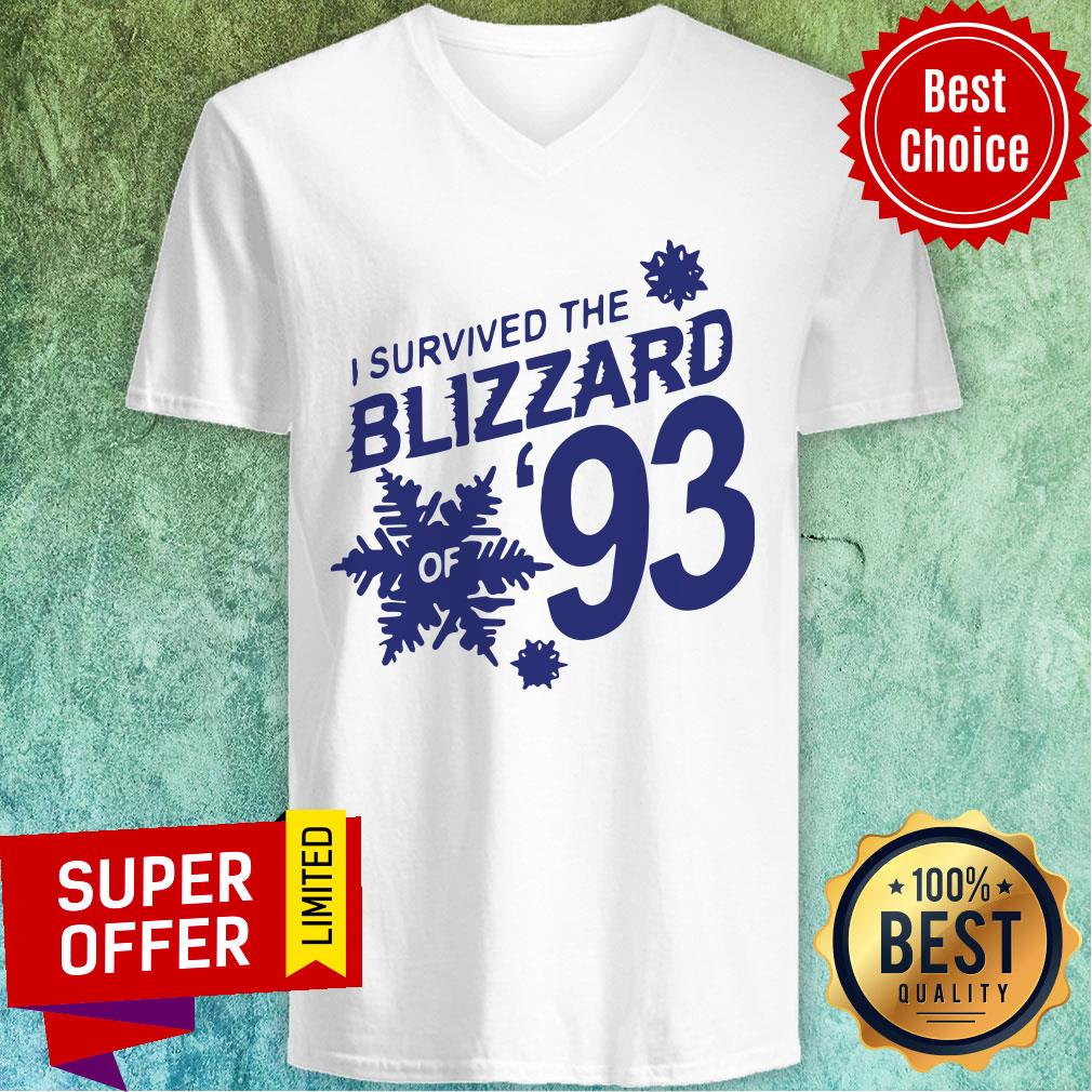 Premium I Survived The Blizzard Of 93 Shirt - Image 3