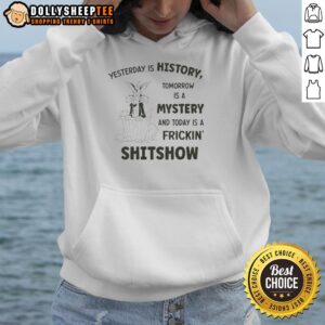 Alternative view of Official Wile E. Coyote Looney Tunes Yesterday Is History Tomorrow A Mystery And Today A Shitshow T-Shirt