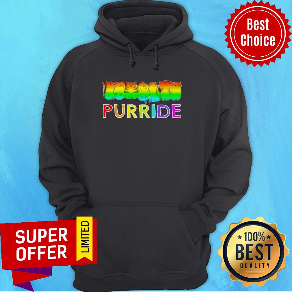 Premium Purride Cat Lgbt Pride Tee Gift Shirt - Image 3