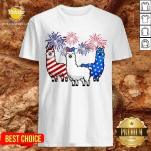 American Flag Colors Llama Lovers 4th Of July Shirt