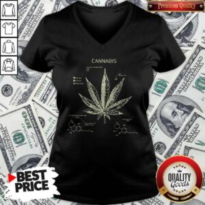 Alternative view of Cannabis Phytocannabinoid CBD THC Sativa Indica Ruderalis Shirt