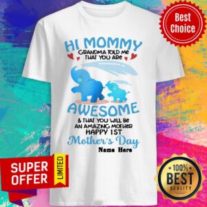 Elephent Mommy Grandma Told Me You Are Awesome Happy 1st Mother's Day Shirt